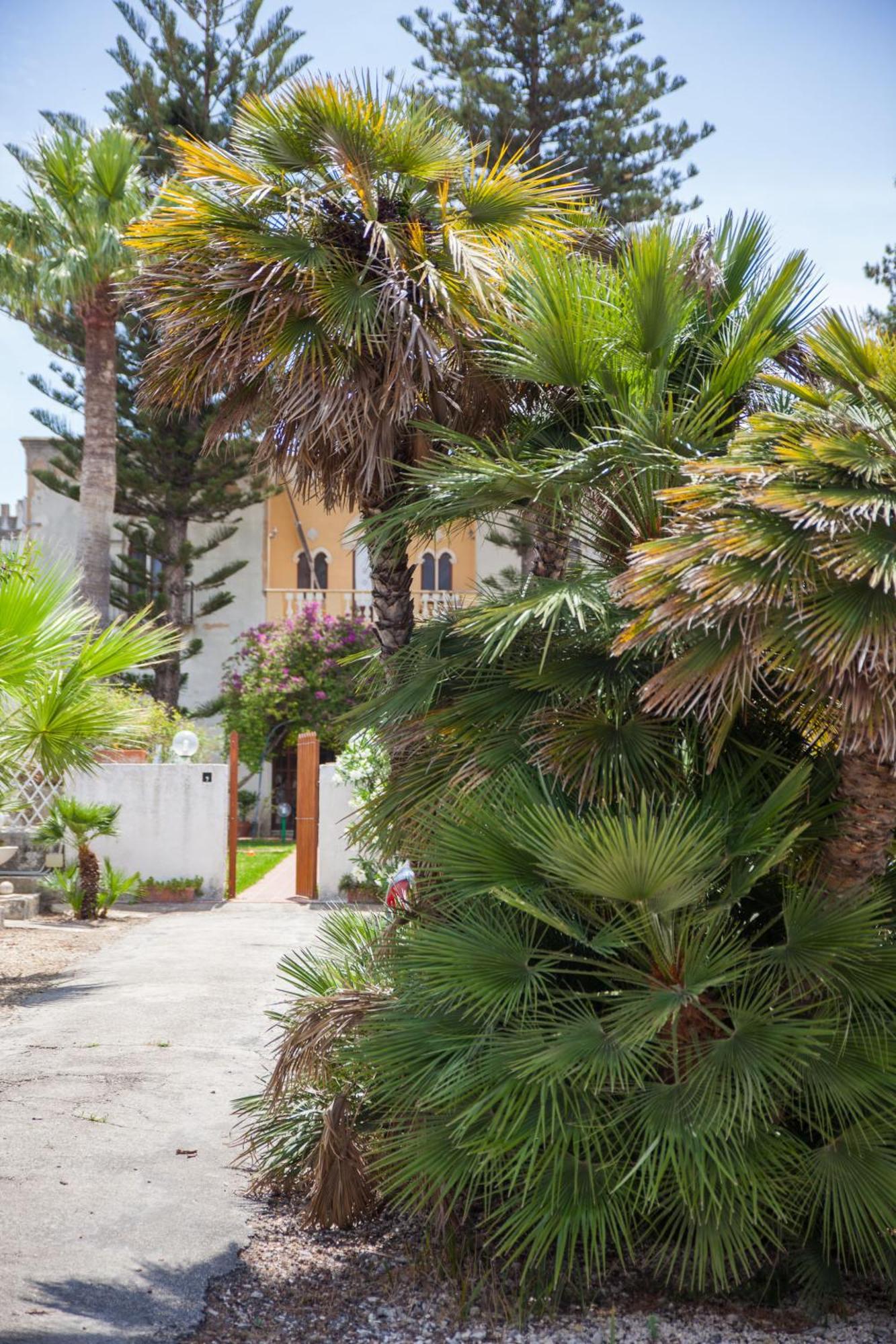 Villa Amodeo Paceco Exterior photo