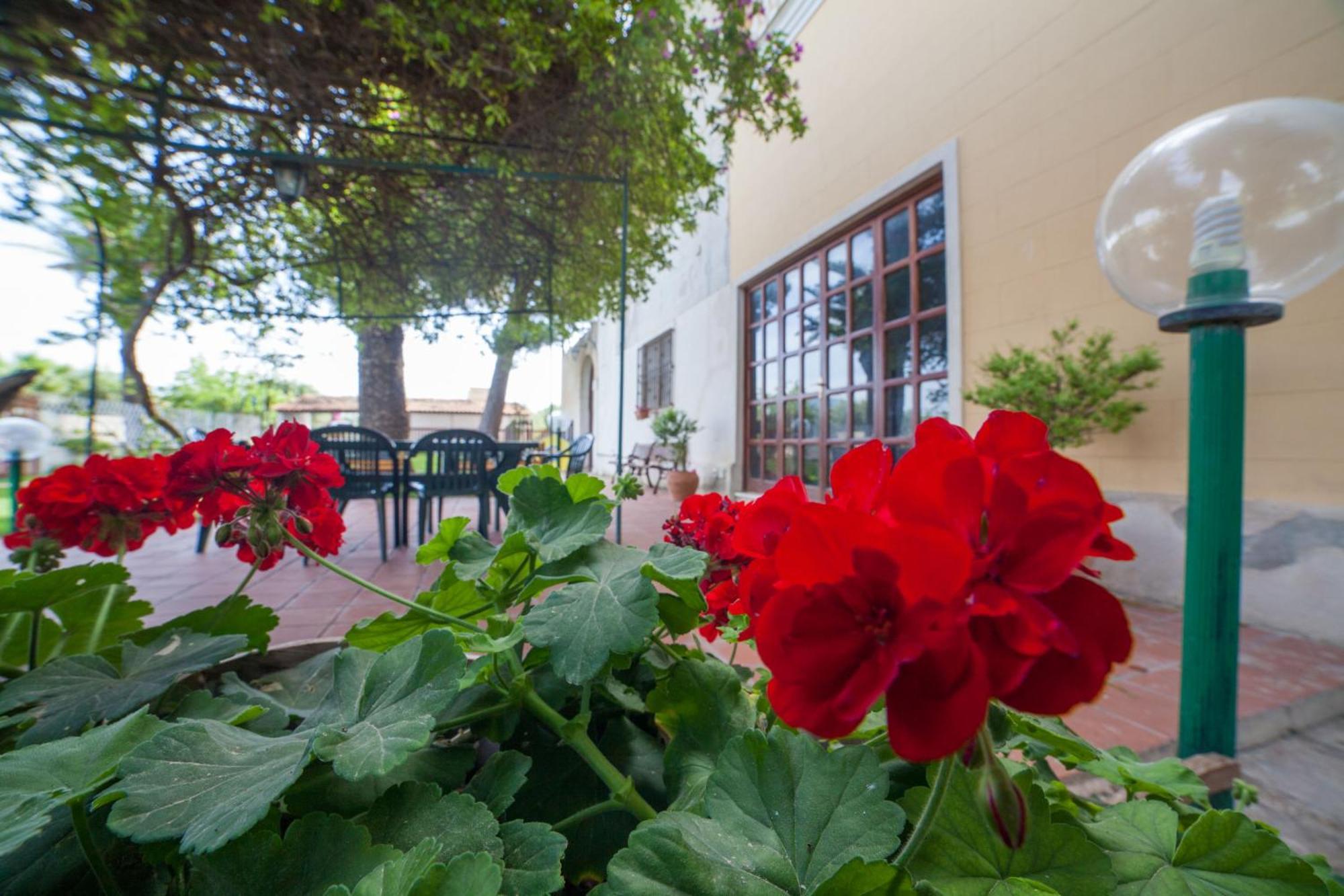 Villa Amodeo Paceco Exterior photo